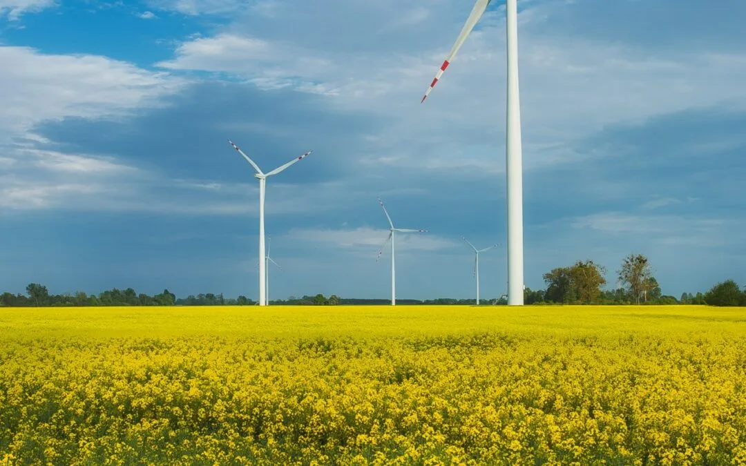 Visite du « Wandpark Esch-Sauer »