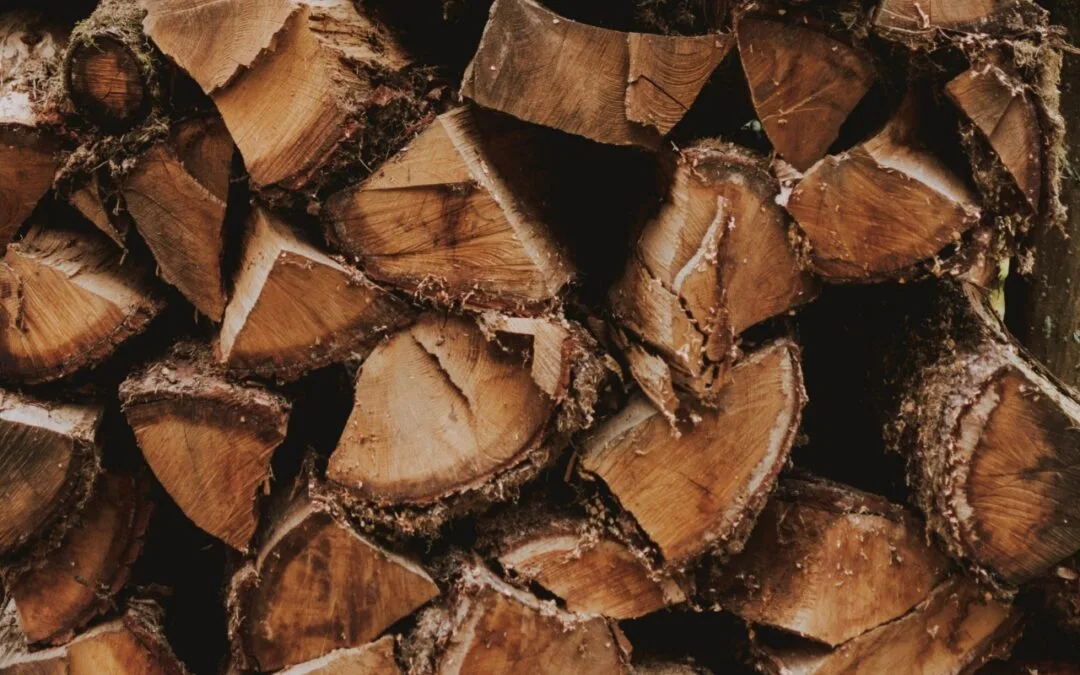Bois de chauffage 2023