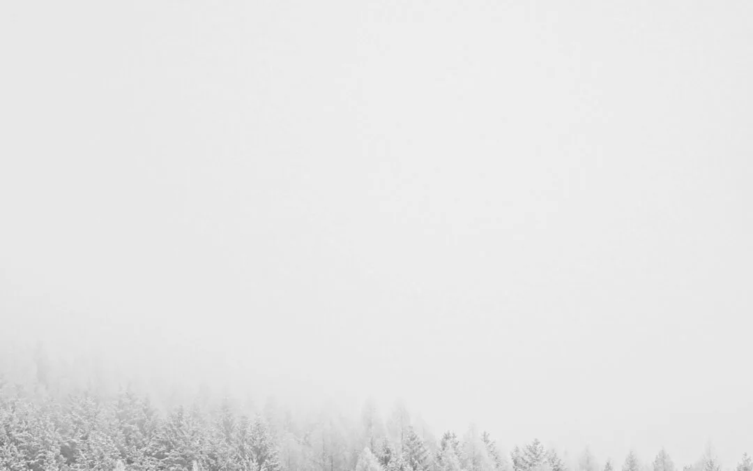 BILLEK – Levée de l&rsquo;alerte-météo du 17.01.24