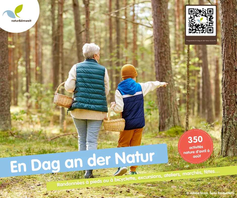 En Dag an der Natur 04.24-08.24