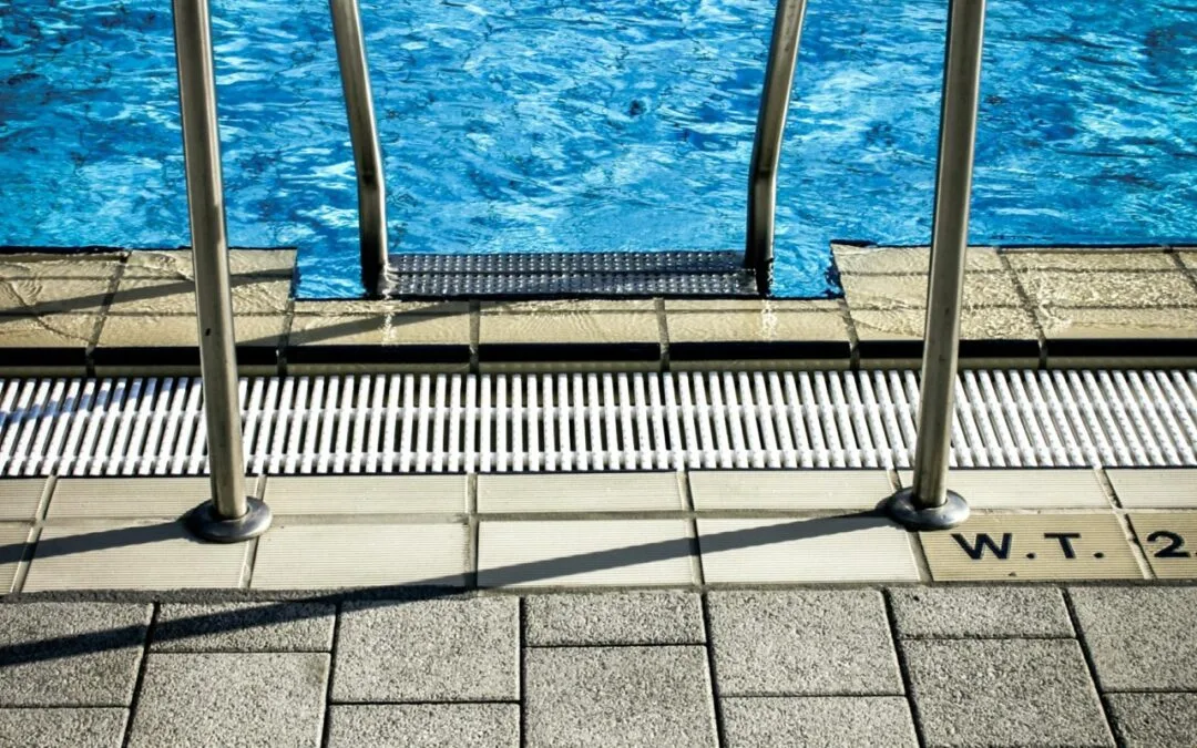 Schwammcoursen am Wanter 2025