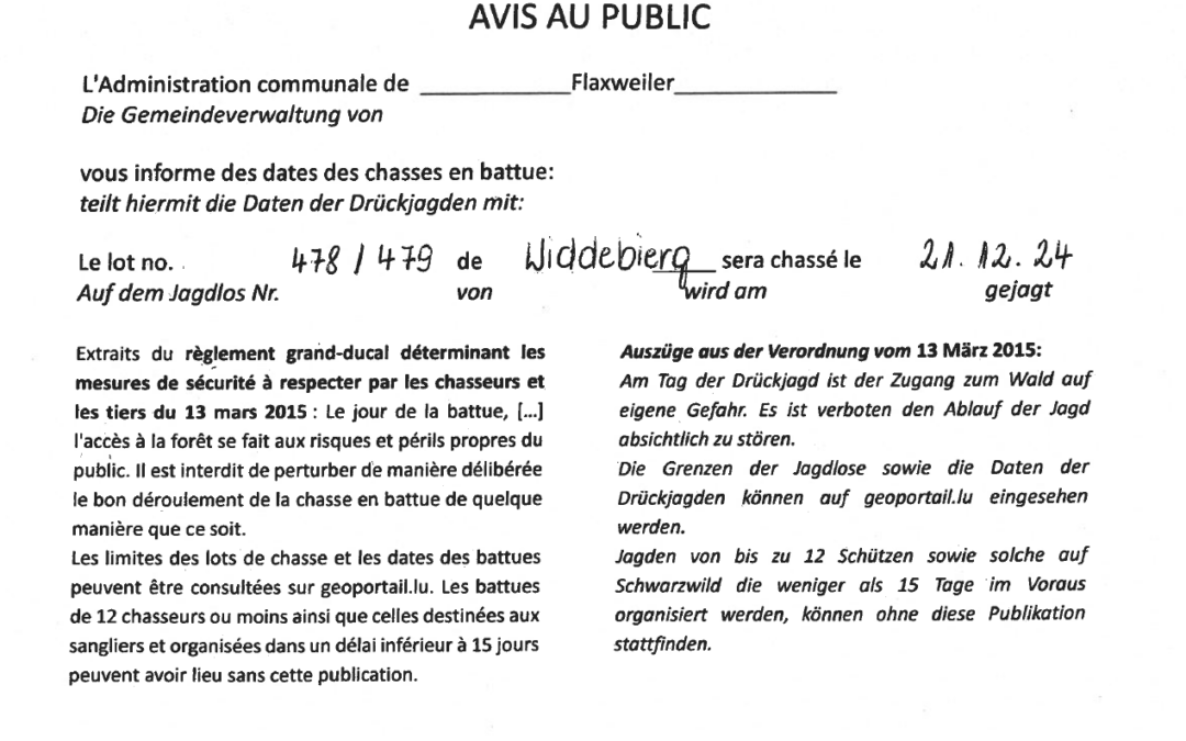 Avis au public – Chasses en battue – Lot no. 478/479 du Widdebierg – 21.12.2024