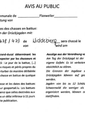 Avis au public – Chasses en battue – Lot no. 478/479 du Widdebierg - 21.12.2024