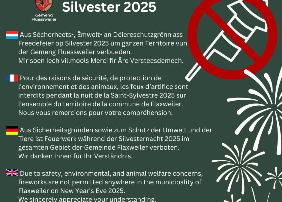 Saint-Sylvestre 2025 – interdiction – feux d’artifice