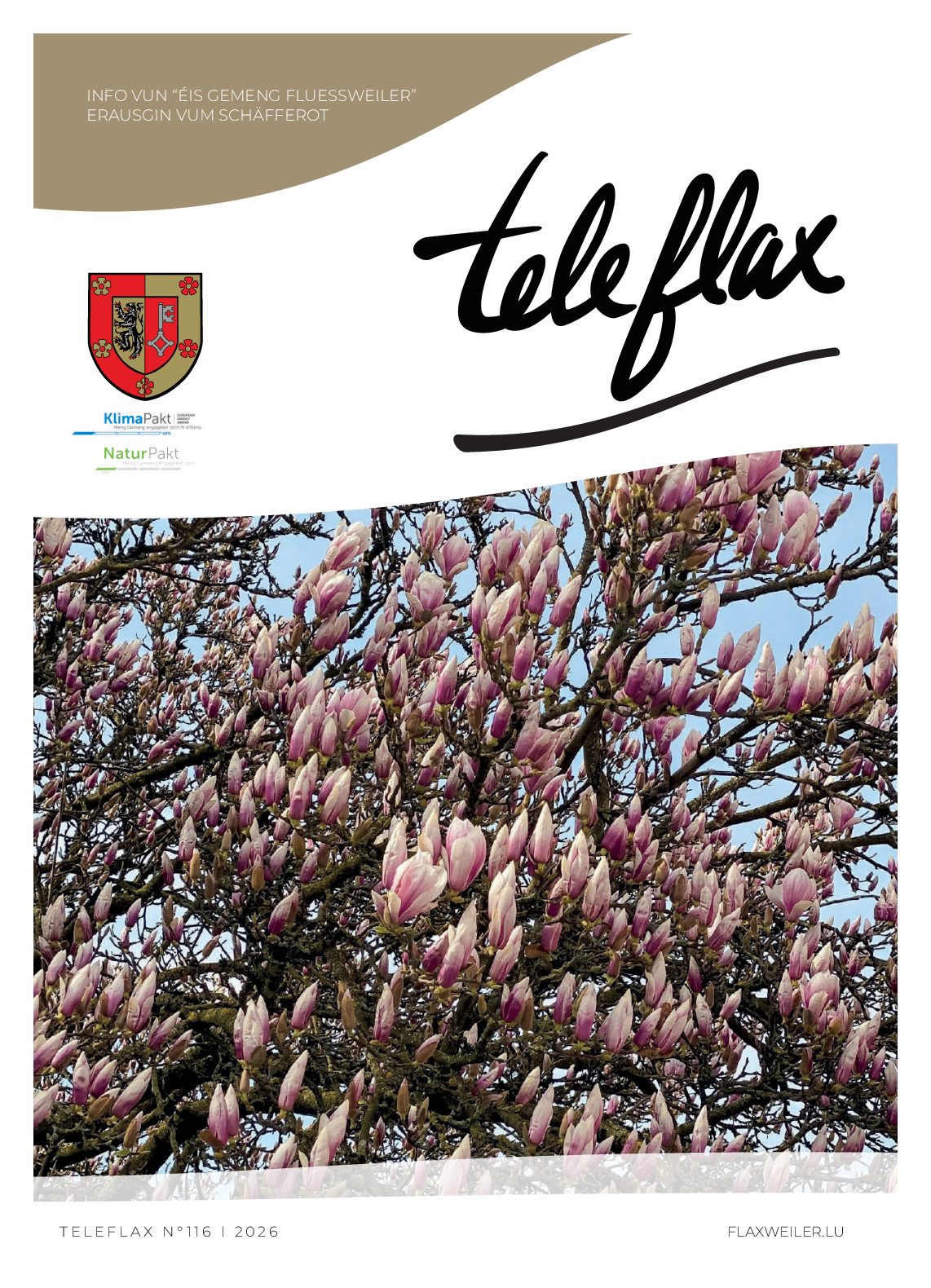 Teleflax 116 Mars 2026