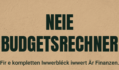 Hutt Dir den Iwwerbléck iwwert Är Finanzen? – De neie Budgetsrechner