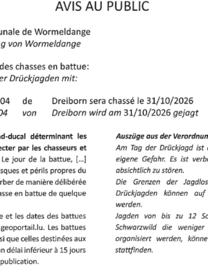 Avis au public – Chasse en battue le 31/10/2026 – Lot no. 504