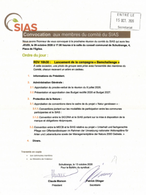 Convocation – SIAS – Réunion du comité – 29/10/2026
