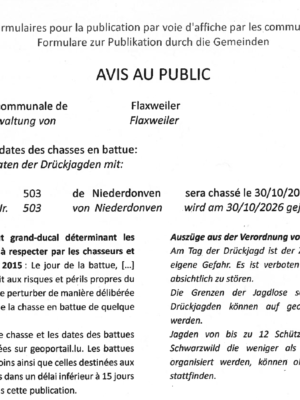 Avis au public – Chasse en battue le 30/10/2026 – Lot no. 503